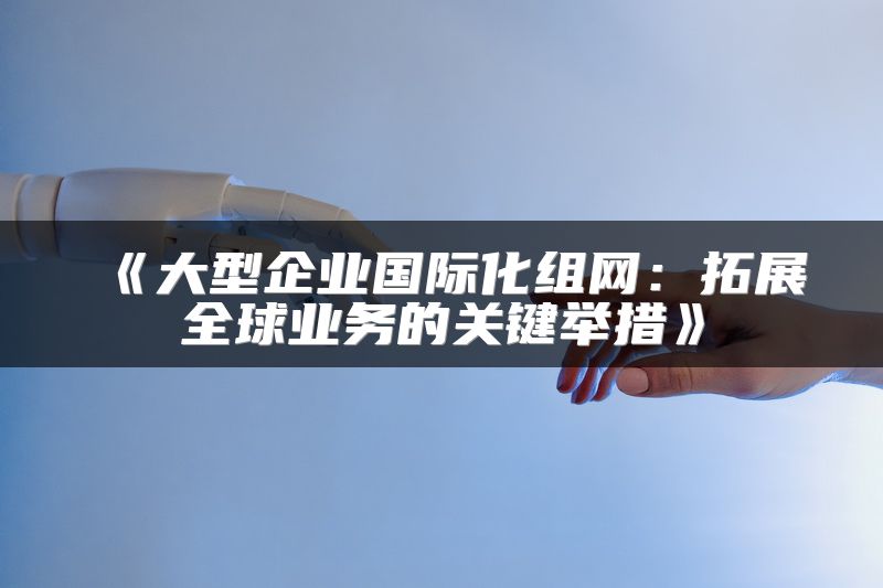 大型企业国际化组网：拓展全球业务的关键举措
