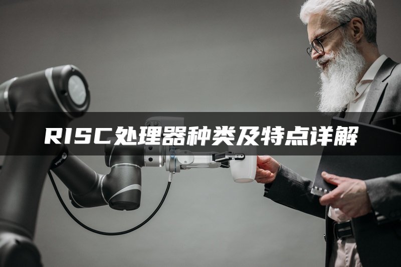 RISC处理器种类及特点详解