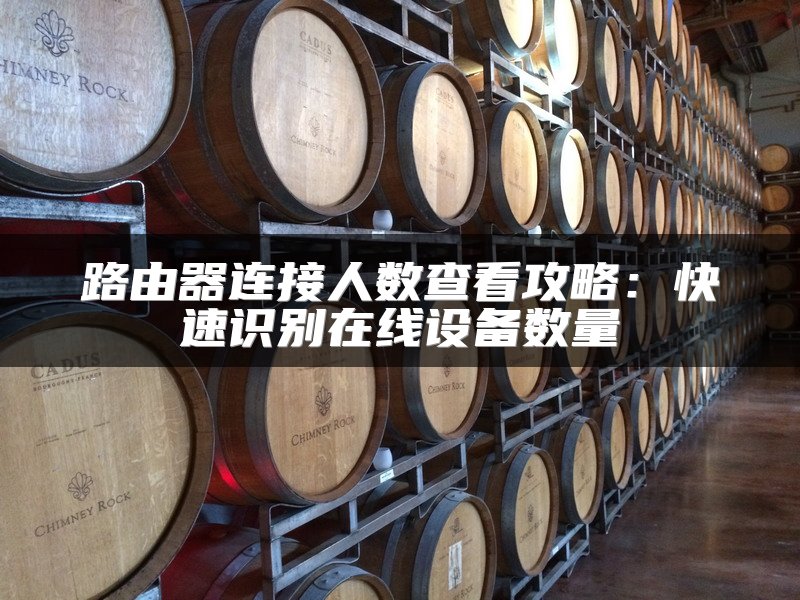 路由器连接人数查看攻略：快速识别在线设备数量