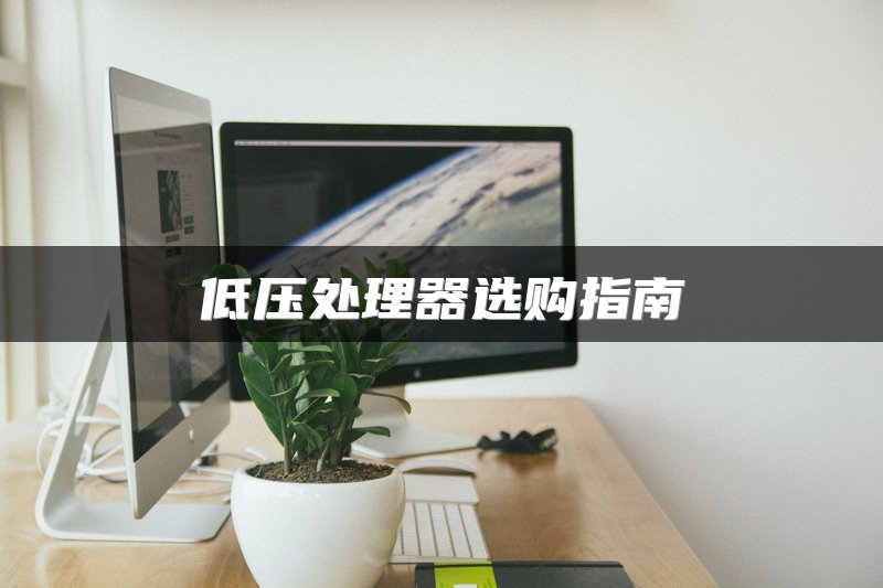 低压处理器选购指南