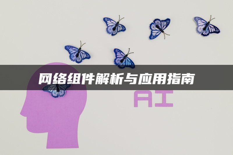 网络组件解析与应用指南