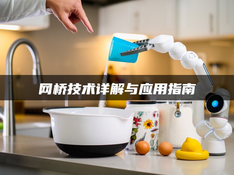 网桥技术详解与应用指南