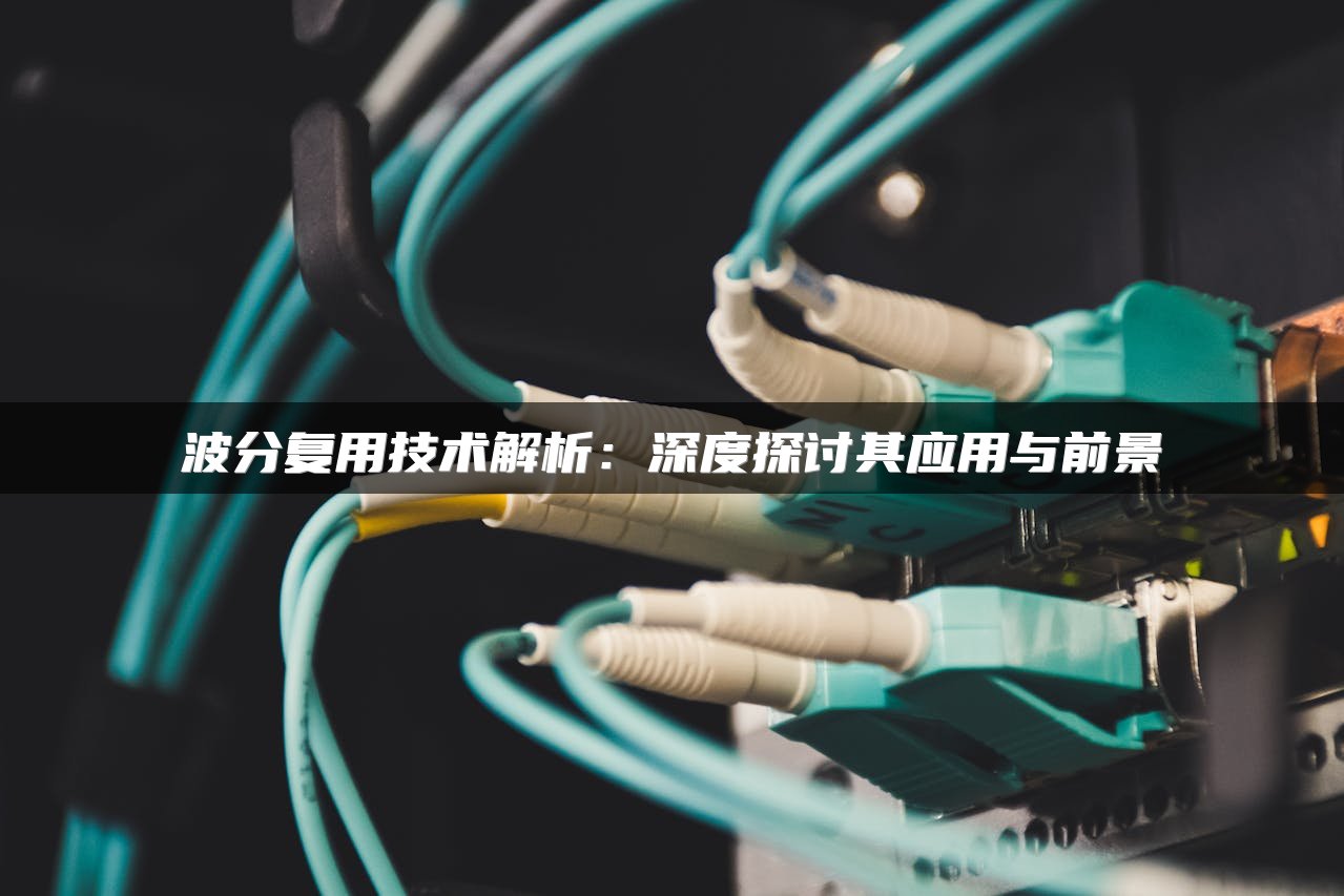 波分复用技术解析：深度探讨其应用与前景