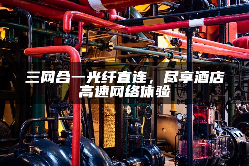 三网合一光纤直连，尽享酒店高速网络体验
