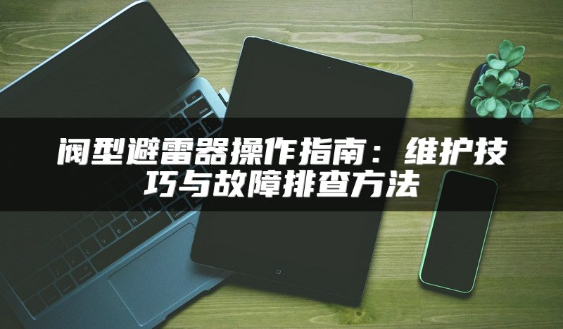 阀型避雷器操作指南：维护技巧与故障排查方法