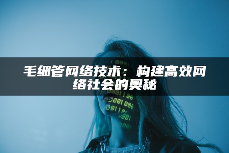 毛细管网络技术：构建高效网络社会的奥秘
