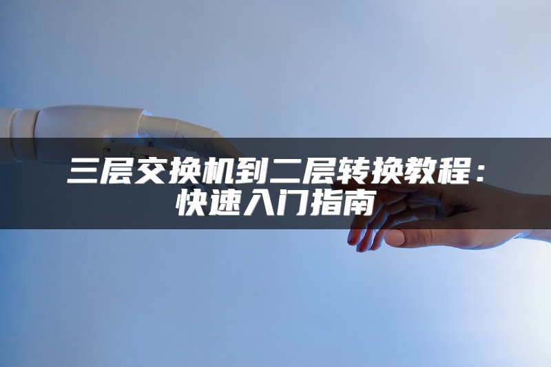 三层交换机到二层转换教程：快速入门指南