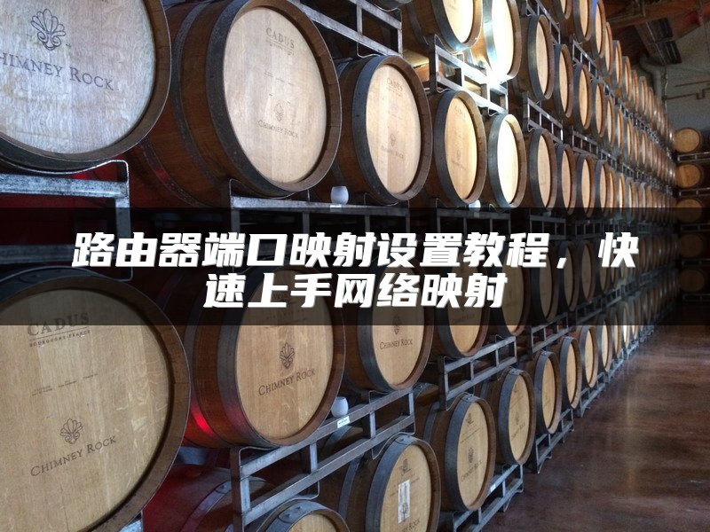 路由器端口映射设置教程，快速上手网络映射