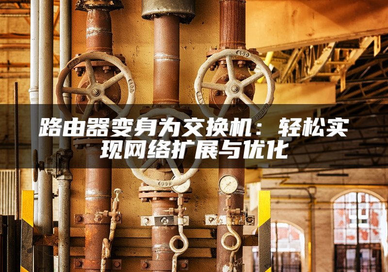 路由器变身为交换机：轻松实现网络扩展与优化