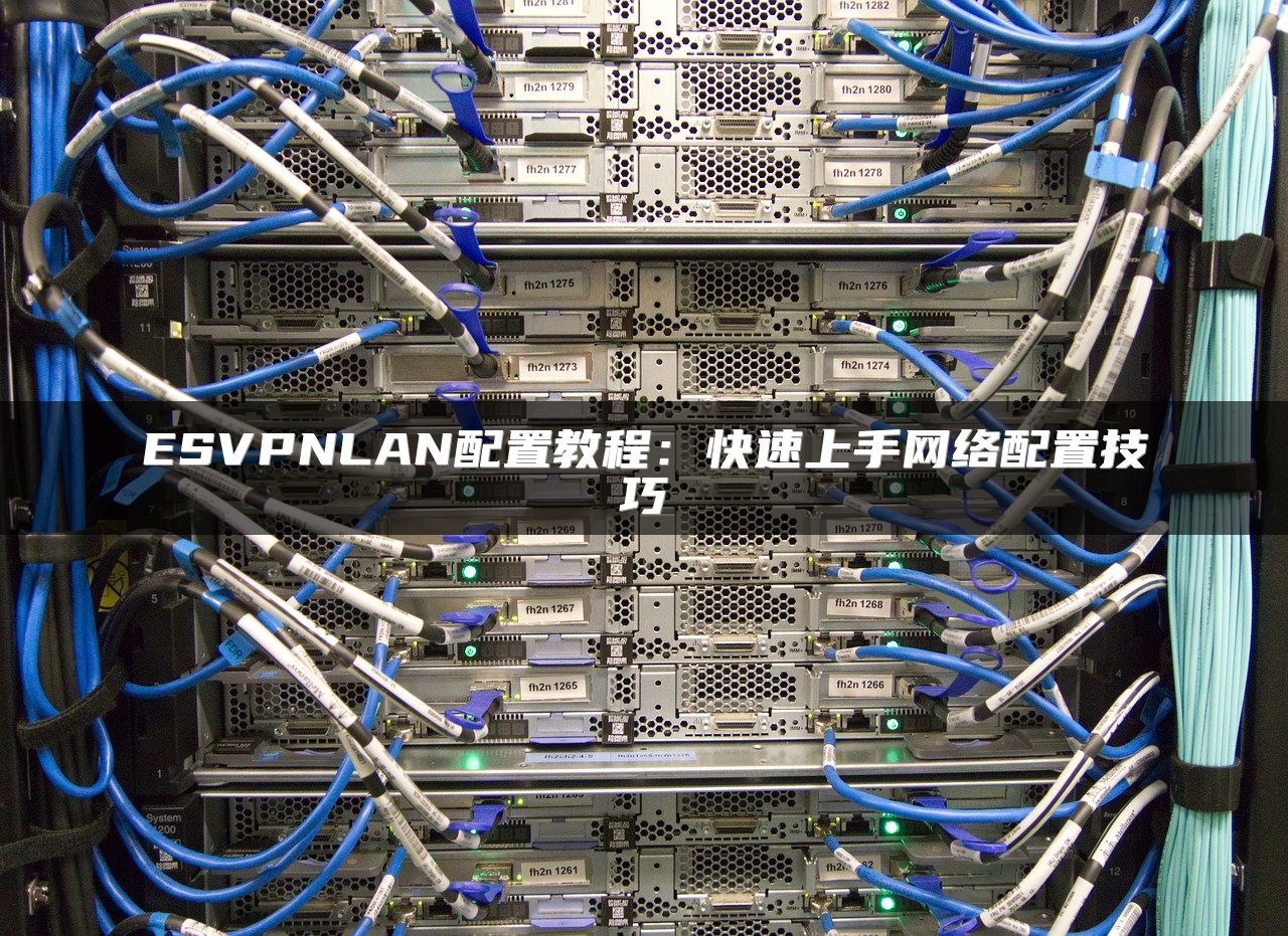 ESVPNLAN配置教程：快速上手网络配置技巧