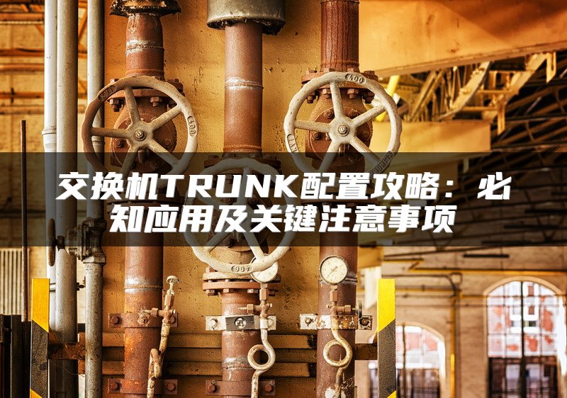 交换机TRUNK配置攻略：必知应用及关键注意事项
