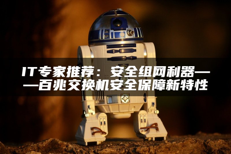 IT专家推荐：安全组网利器——百兆交换机安全保障新特性