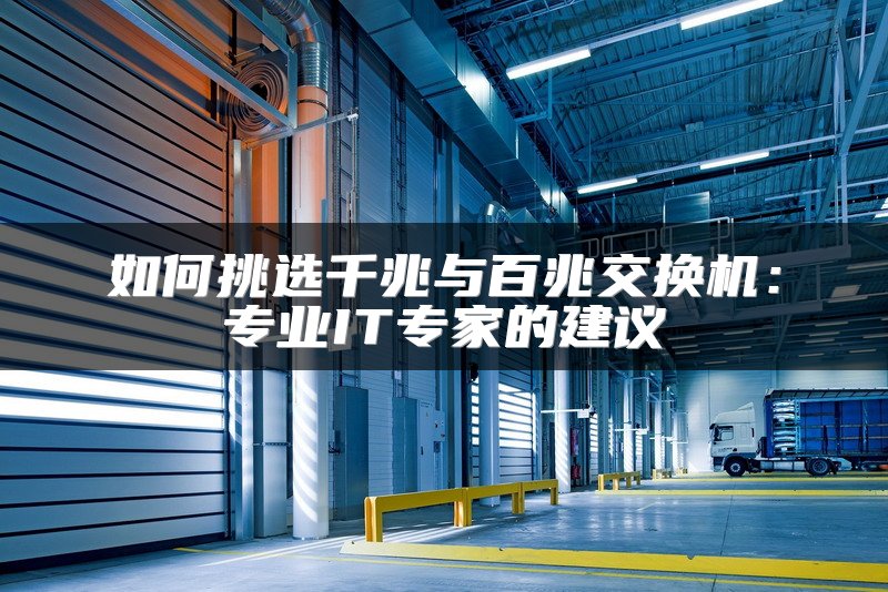 如何挑选千兆与百兆交换机：专业IT专家的建议