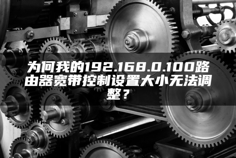 为何我的192.168.0.100路由器宽带控制设置大小无法调整？