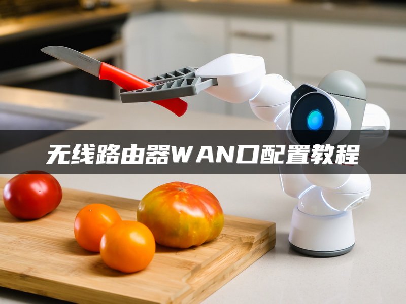 无线路由器WAN口配置教程