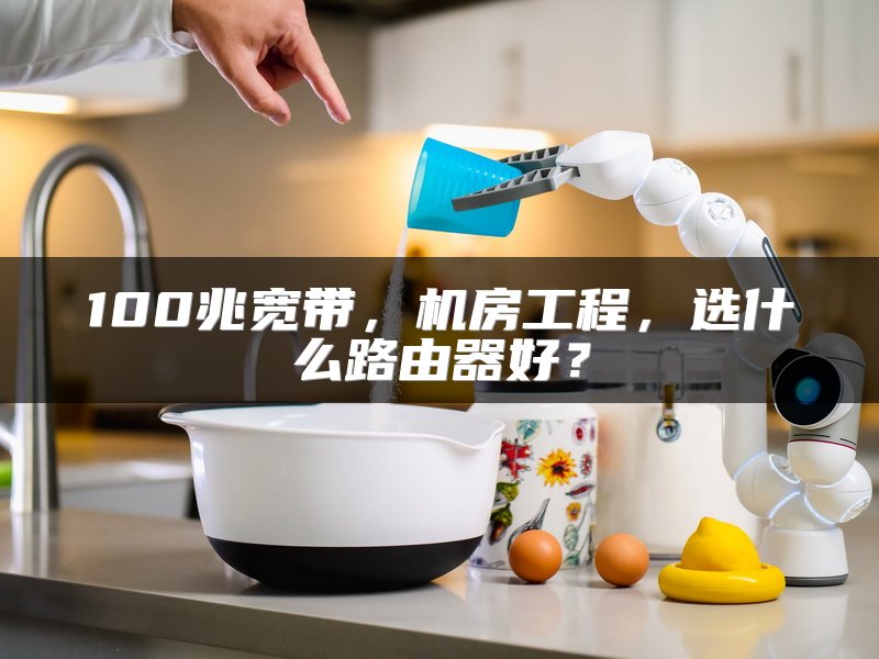 100兆宽带，机房工程，选什么路由器好？