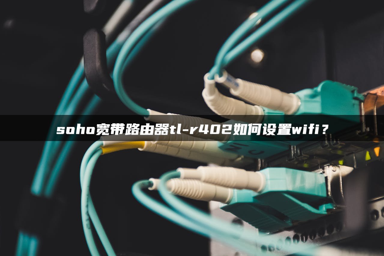 soho宽带路由器tl-r402如何设置wifi？