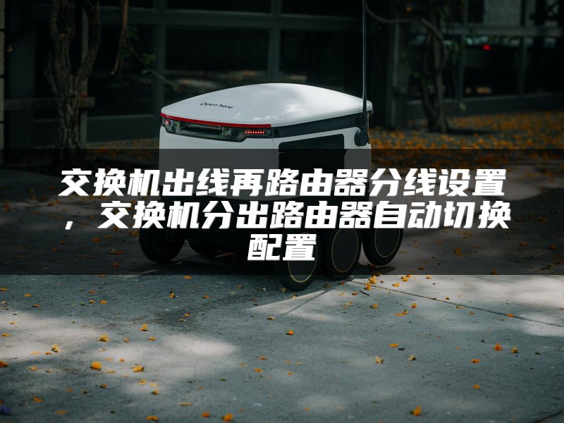 交换机出线再路由器分线设置，交换机分出路由器自动切换配置