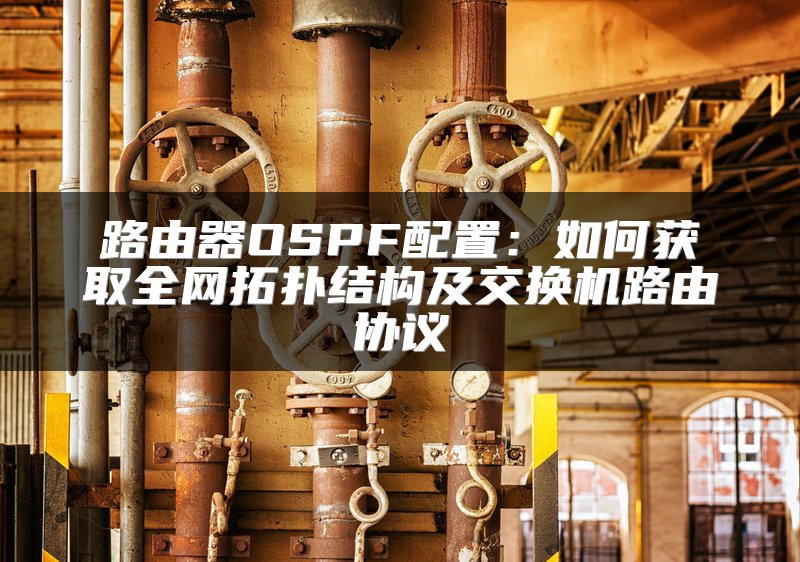 路由器OSPF配置：如何获取全网拓扑结构及交换机路由协议