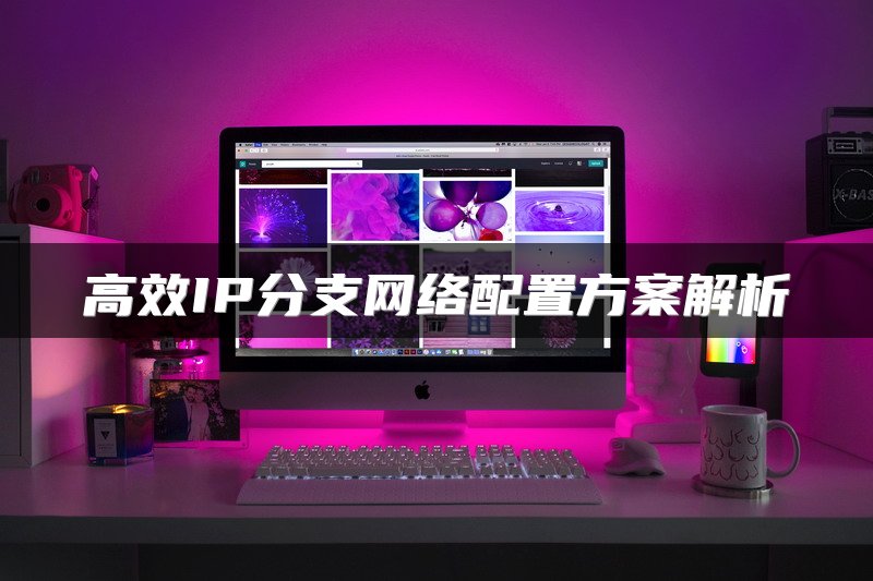 高效IP分支网络配置方案解析