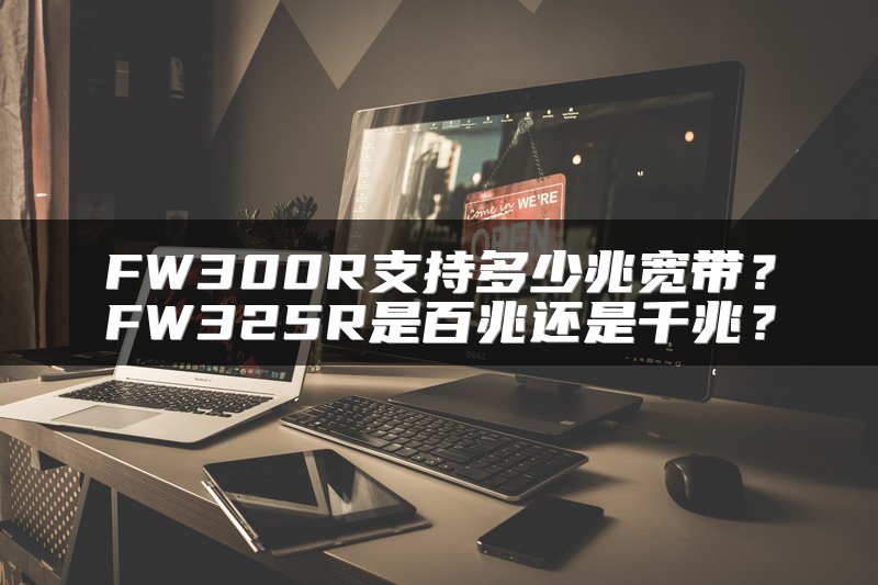 FW300R支持多少兆宽带？FW325R是百兆还是千兆？