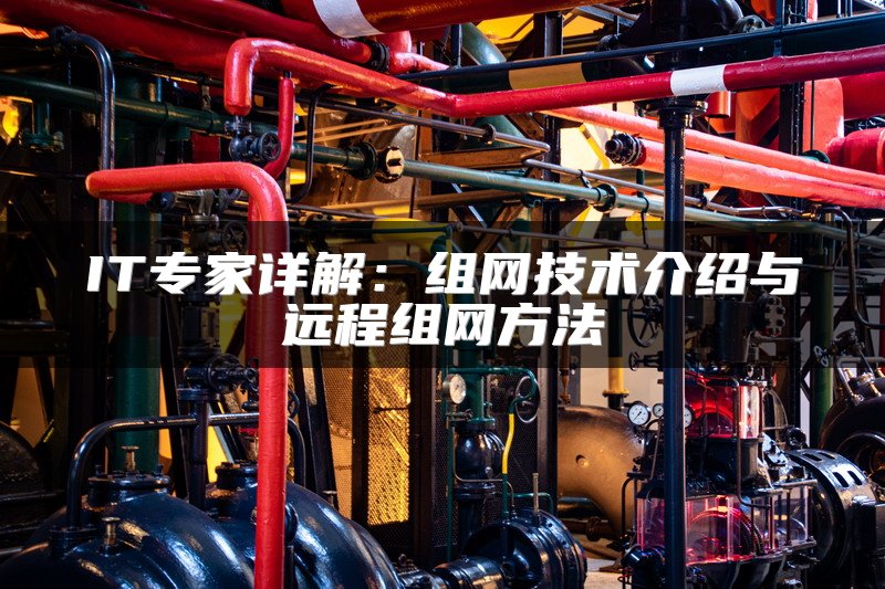 IT专家详解：组网技术介绍与远程组网方法