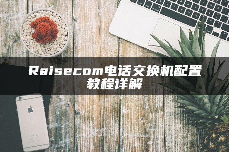 Raisecom电话交换机配置教程详解