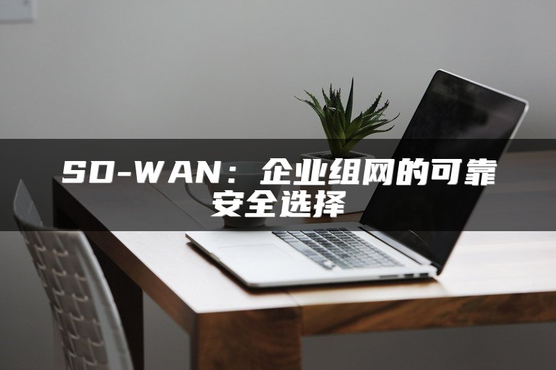 SD-WAN：企业组网的可靠安全选择