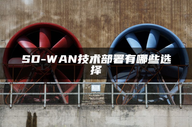 SD-WAN技术部署有哪些选择