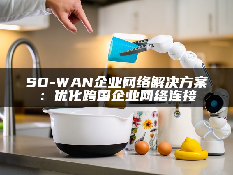 SD-WAN企业网络解决方案：优化跨国企业网络连接
