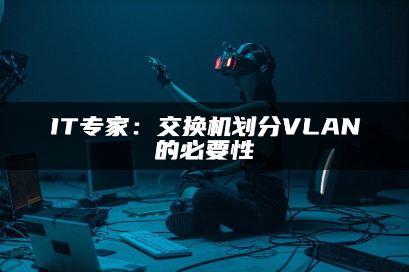 IT专家：交换机划分VLAN的必要性