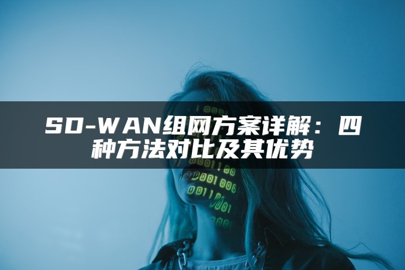 SD-WAN组网方案详解：四种方法对比及其优势
