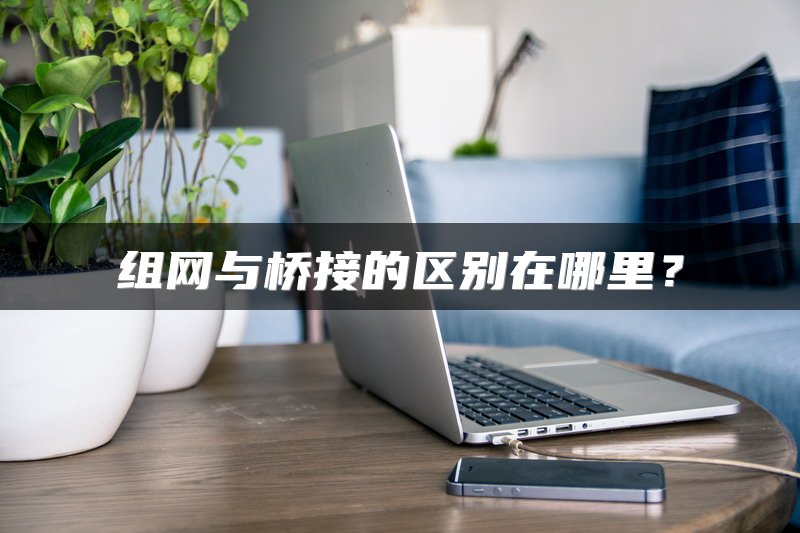 组网与桥接的区别在哪里？