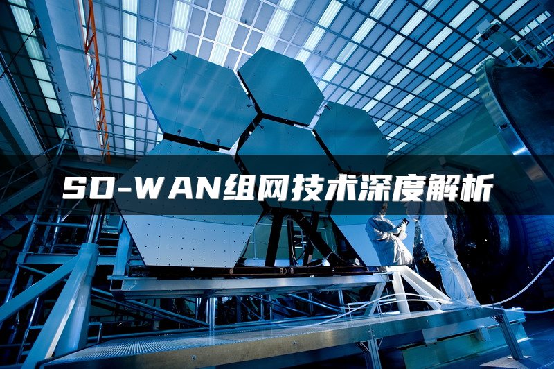 SD-WAN组网技术深度解析