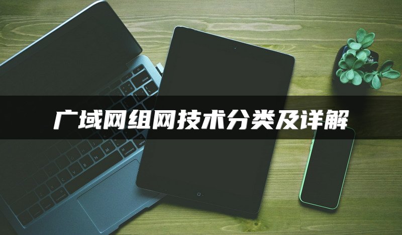 广域网组网技术分类及详解
