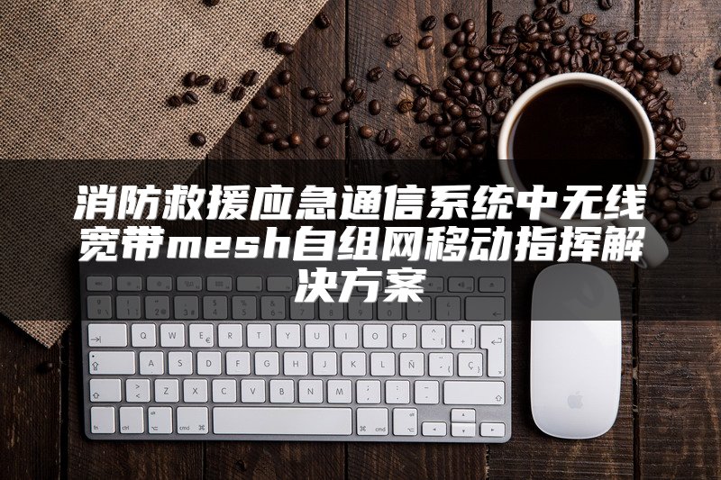 交换机与网桥核心特性及在现代网络中的应用