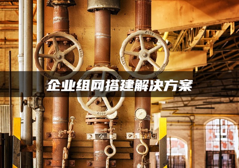 SD-WAN网络构建：精选设备、专业服务及综合解决方案