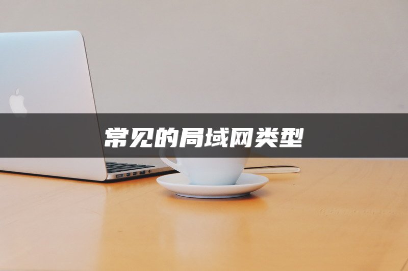 常见的局域网类型