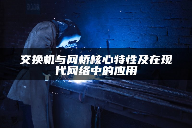 交换机与网桥核心特性及在现代网络中的应用