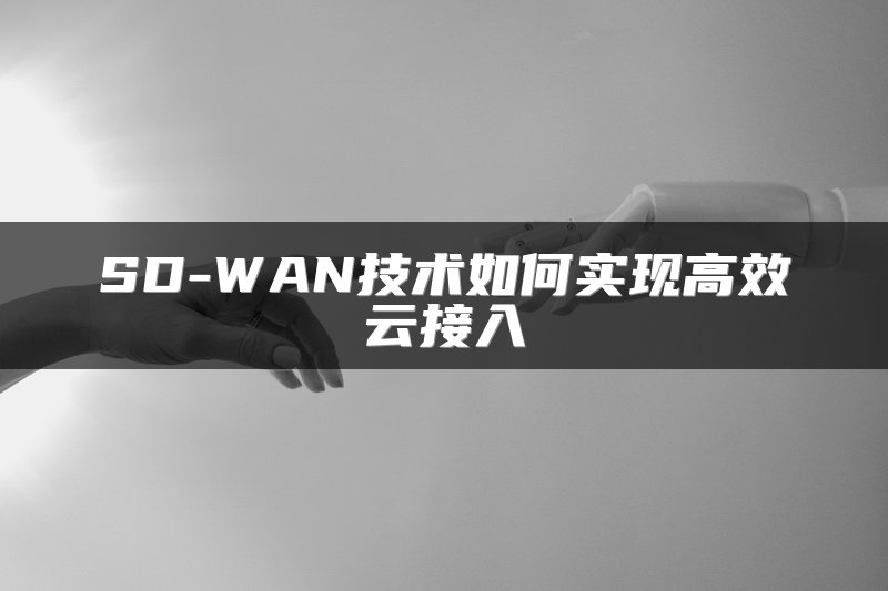 SD-WAN技术如何实现高效云接入