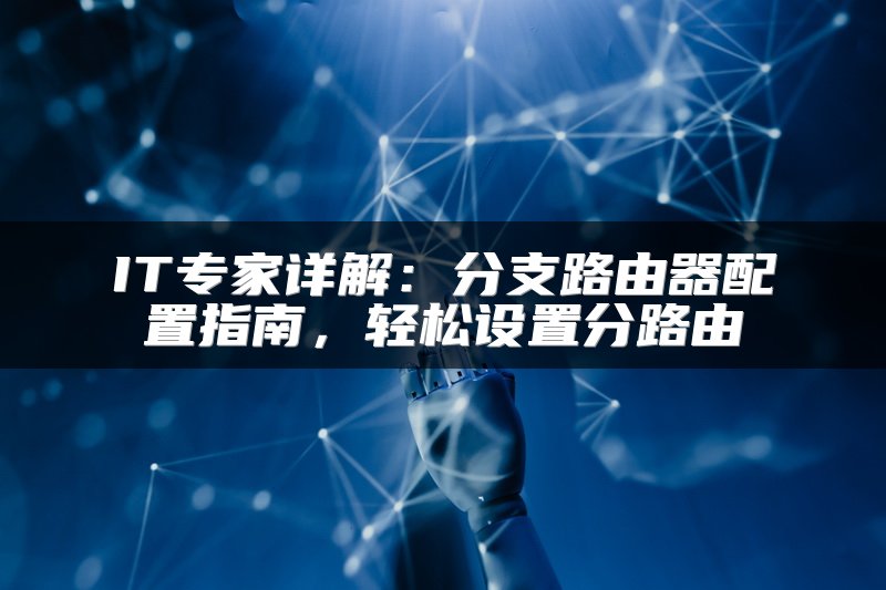 IT专家详解：分支路由器配置指南，轻松设置分路由