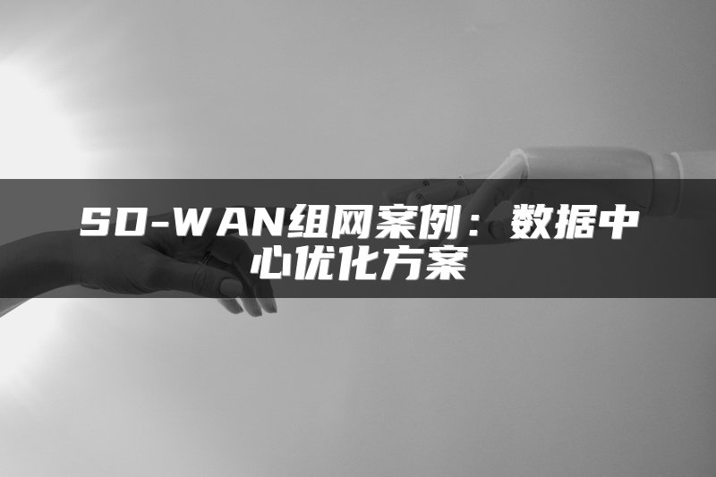 SD-WAN组网案例：数据中心优化方案