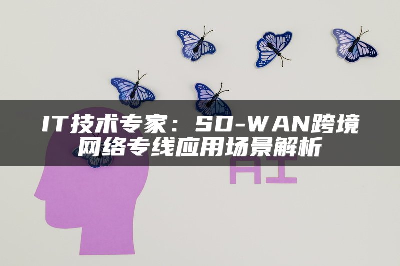 IT技术专家：SD-WAN跨境网络专线应用场景解析