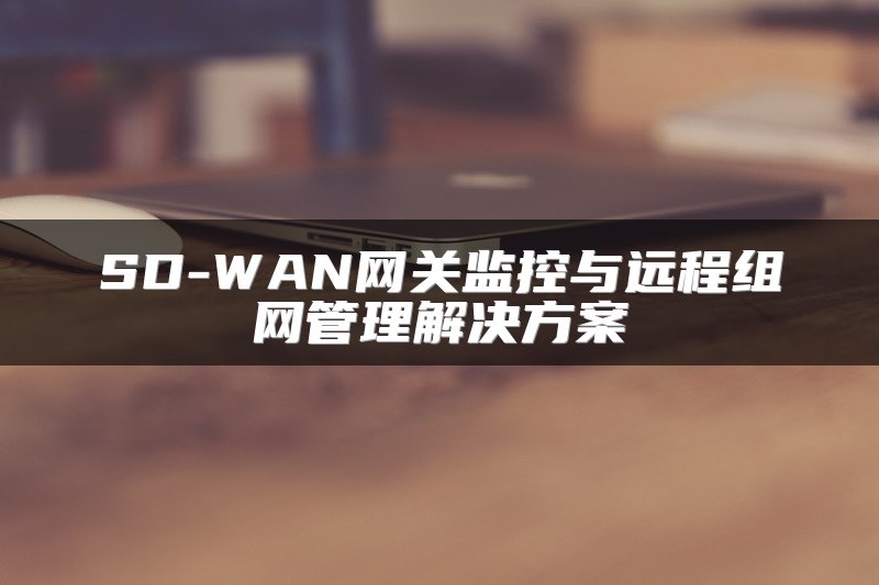 IT专家：为什么更多企业CIO选择SD-WAN
