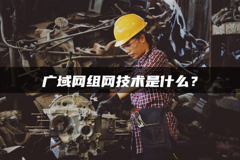 广域网组网技术是什么？
