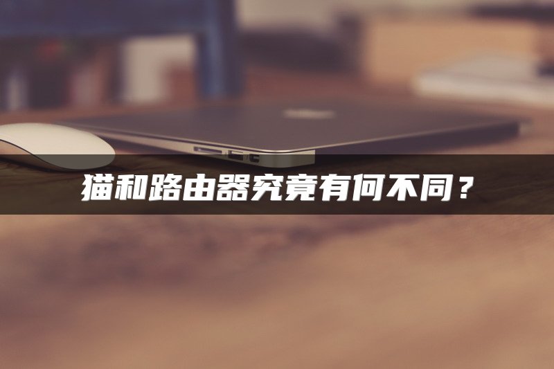 猫和路由器究竟有何不同？