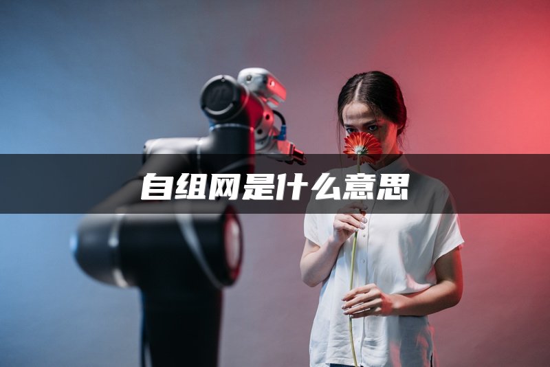 自组网是什么意思