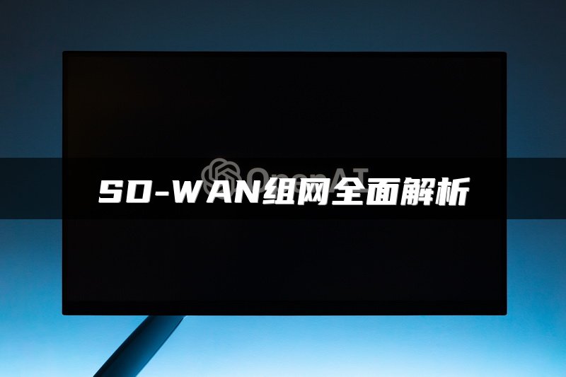 SD-WAN组网全面解析