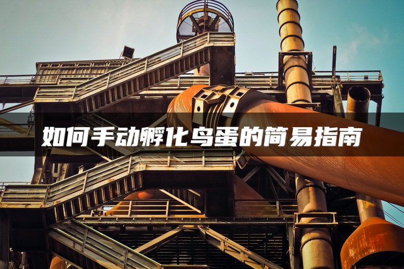 如何手动孵化鸟蛋的简易指南