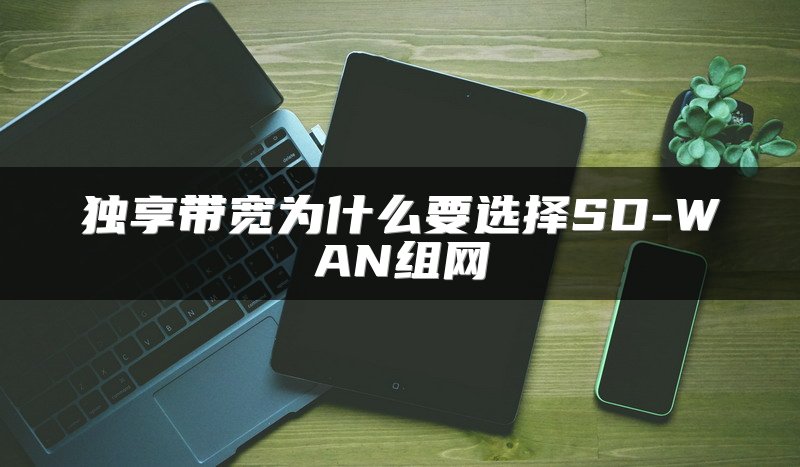 独享带宽为什么要选择SD-WAN组网